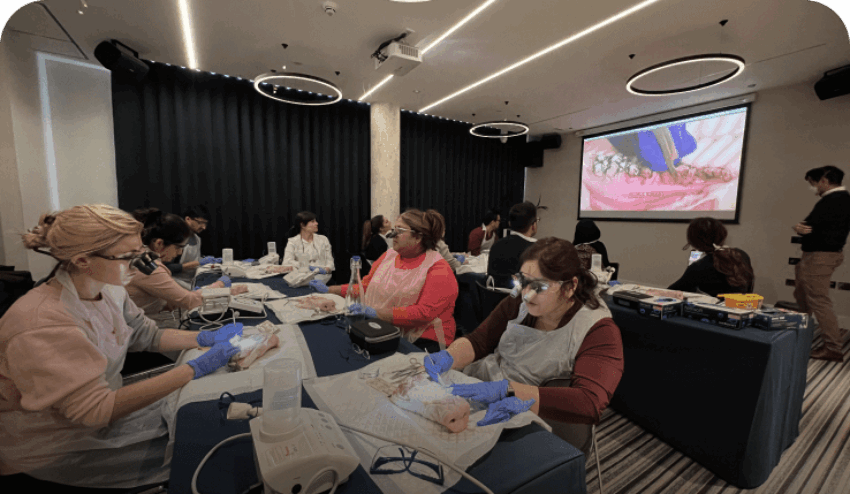 Courses - Edudent Academy